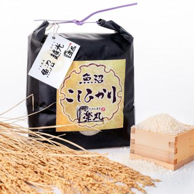 ふるさと納税 津南町 【毎月定期便】豪雪地津南の農家夫婦が育てた!直送特別栽培魚沼コシヒカリ3kg×9回(27kg)全9回 |  | 01