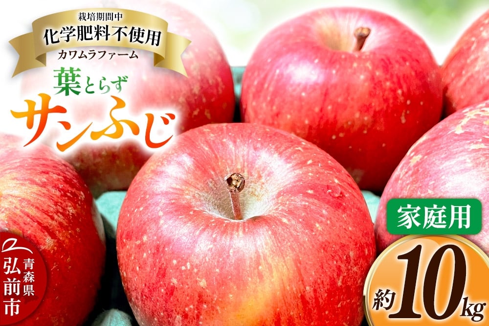 
            りんご【先行受付】葉とらず サンふじ 約10kg カワムラファーム 家庭用
          