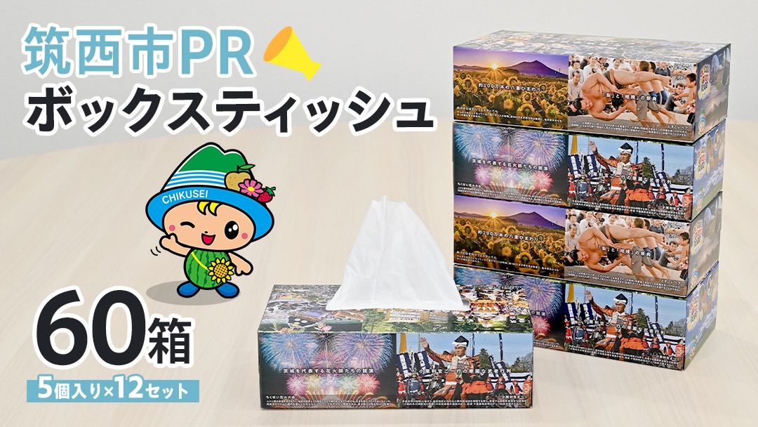 筑西市PR ボックスティッシュ 60箱 ( 5個入り × 12セット ) 1箱200組 400枚 パルプ100% 非売品 ティッシュ ティシューペーパー 日用品 消耗品 常備品 まとめ買い [EN001ci]