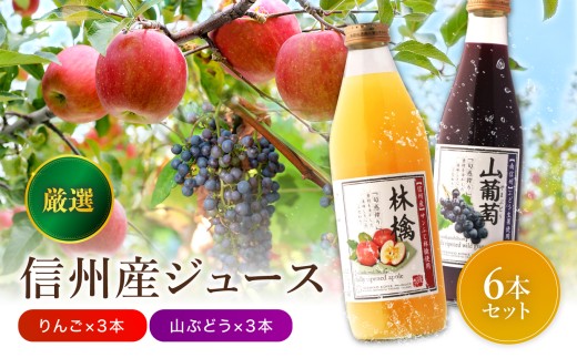 厳選素材 信州産 ジュース 6本 セット | 小池手造り農産加工所 りんご すりおろし 山ぶどう 国産 手造り てづくり 健康 飲料 長野県 飯田市