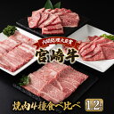 【ふるさと納税】宮崎牛 4種 焼肉食べ比べセット1.2kg 肩ロース ウデ モモ バラ 焼肉 BBQ 宮崎県 送料無料【MCU4Y】