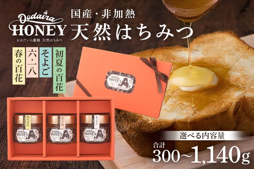 
                  193. 国産天然 非加熱はちみつ 「春の百花」 「6.18」 「そよご」 「初夏の百花」 2種 3種 選べる内容量 150g 230g 380g  2本 3本 セット
                