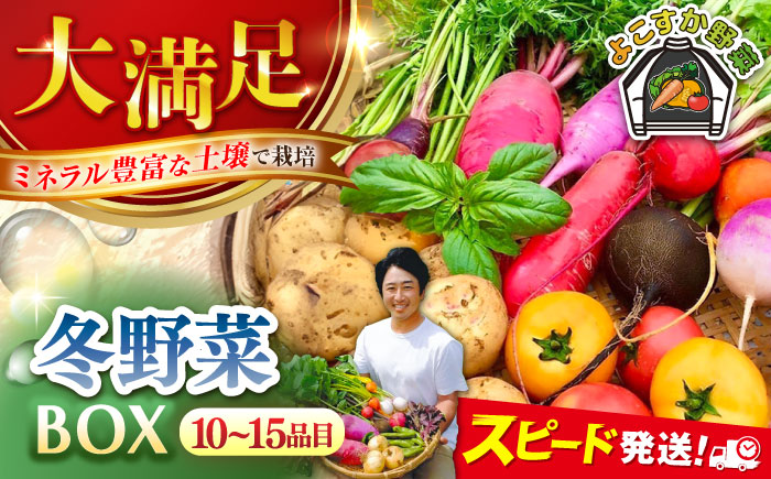 すずなり採れたて野菜BOX（10～15品目）冬（12月～2月）【鈴也ファーム】 [AKCE002]