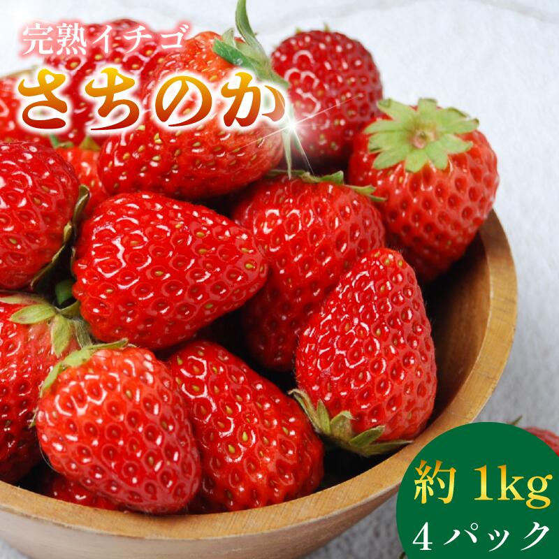 【ふるさと納税】 いちご さちのか 4パック ( 280g × 4 ) 大粒 果物 フルーツ 苺 ストロベリー ケーキ アイス タルト スムージー 洋菓子 和菓子 フルーツサンド フルーツ大福 いちご大福 プレゼント ギフト 贈答 お取り寄せ グルメ 送料無料 徳島県 阿波市 御所の郷