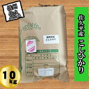 【ふるさと納税】【令和6年産】長野県佐久平産　こしひかり・白米10kg　（北海道・沖縄・離島は配送不可）【米 コメ 白米 精米 お米 こめ おこめ 備蓄品 仕送り おすそ分け 備蓄米 コシヒカリ こしひかり 長野県 佐久市 】