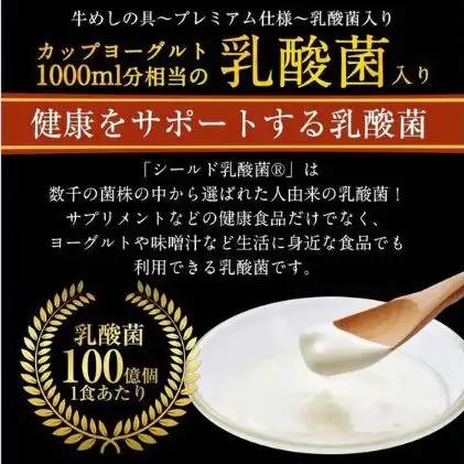 牛丼 松屋 乳酸菌入 プレミアム仕様 牛めしの具 10個 冷凍 セット 冷凍食品 食品 惣菜 n1 