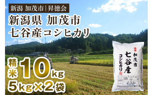 【令和7年産】新潟県加茂市 七谷産コシヒカリ 精米10kg（5kg×2） 白米 高柳地域産数量限定 昇徳会