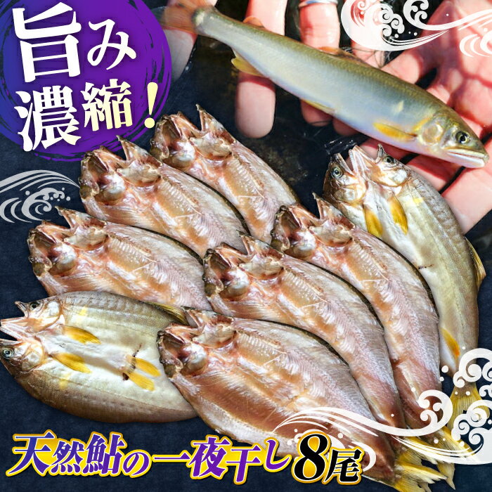 【ふるさと納税】清流長良川 天然鮎 一夜干し 手作り 香魚 冷凍 岐阜市 / 天然鮎専門 結の舟 [ANBN002]