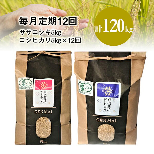 【ふるさと納税】《 新米先行予約 》定期便 12回 令和7年産 新米 有機栽培米 コシヒカリ 5kg 自然栽培米 ササニシキ 5kg ふるさと納税 選べる 玄米 精米 お米 食べ比べ お弁当 弁当 料理 おにぎり おむすび 食品 ギフト プレゼント 贈り物 贈答品 岩手県 一関市