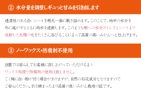 【2024年秋頃発送予約分】【農家直送】こだわりの青切りみかん 約7.5kg 有機質肥料100%　※2024年9月下旬より順次発送予定（お届け日指定不可）【nuk107A】