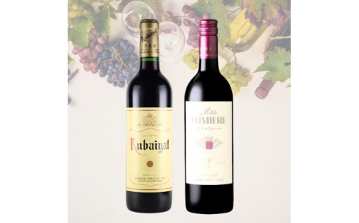ルバイヤート赤/プチルミエール赤 2本セット　024_ワイン 赤ワイン 飲み比べ セット 山梨 ギフト 美味しい 送料無料【1623519】