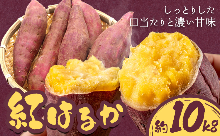 【先行予約】さつまいも 紅はるか 約10kg 株式会社シグマサポート《2026年10月中旬-12月中旬頃出荷予定(土日祝除く)》送料無料 サツマイモ 三重県 東員町 お菓子 おやつ 紅はるか やきいも さつまいも 手軽