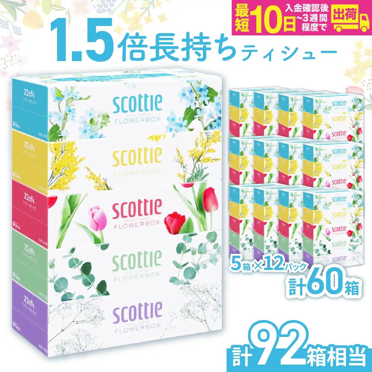 ティッシュ スコッティ フラワーボックス 250組 60箱 5箱×12ﾊﾟｯｸ