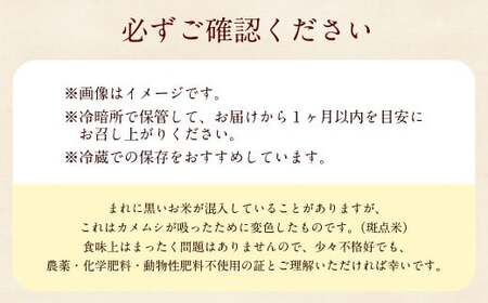 自然栽培 ひのひかり 玄米 5kg 【2025年10月下旬より発送予定】 米 お米 ご飯  うきは市