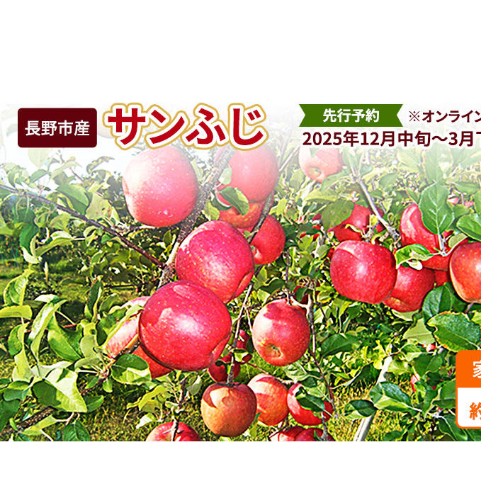 先行予約 長野市産サンふじ家庭用 約5kg 2025年12月～2026年3月発送 ※オンライン決済限定 果物 フルーツ デザート 食後 おやつ 長野県産 信州 りんご 代表品種 濃厚 