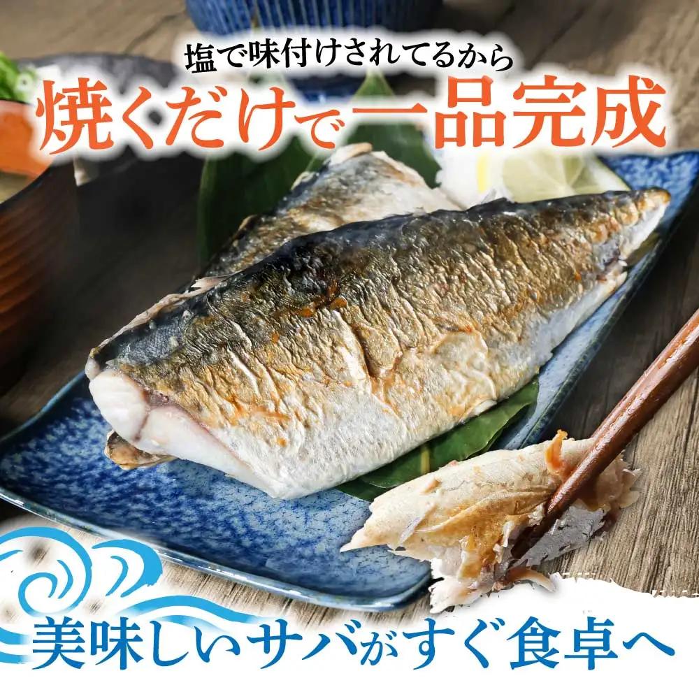 訳あり 塩サバ 3kg 約18枚 さば 鯖【R01426】
