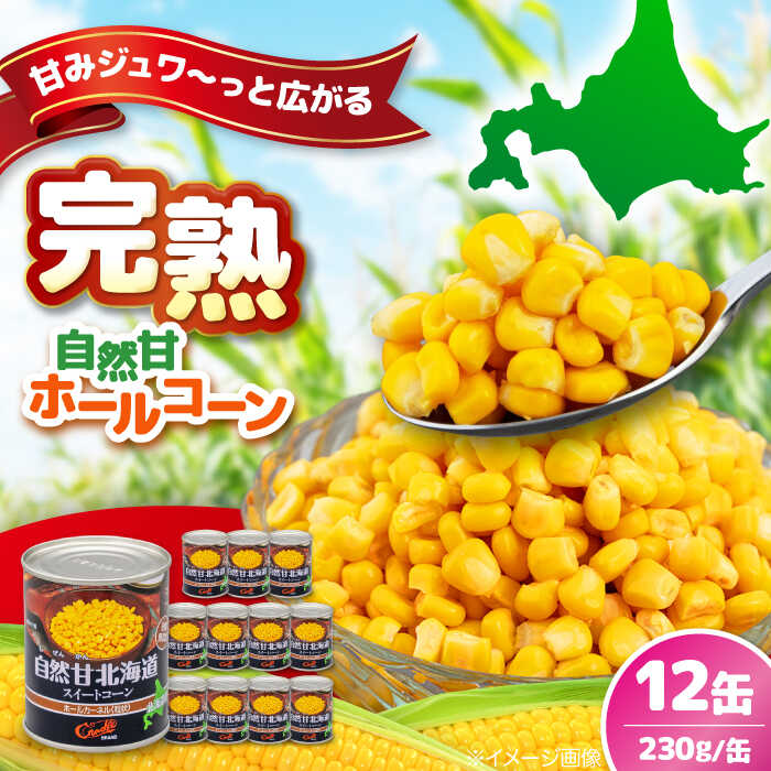 【ふるさと納税】北海道産 自然甘ホールコーン 12缶《喜茂別町》【きもべつ観光協会】 コーン コーン缶 とうもろこし トウモロコシ 缶 缶詰 北海道 常温 常温配送 [AJAG019] 9000 9000円