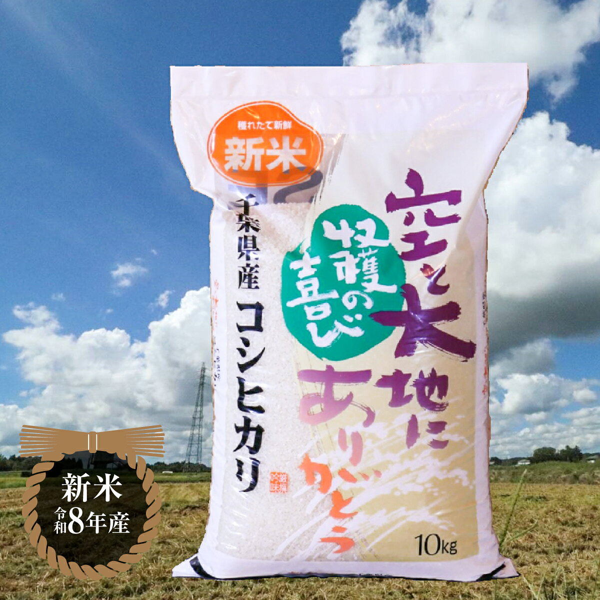 【ふるさと納税】【令和8年産】千葉県産コシヒカリ(精米) 10kg[10kg×1袋]　千葉県産 大網白里市 コシヒカリ 米 精米 こめ 送料無料 G001