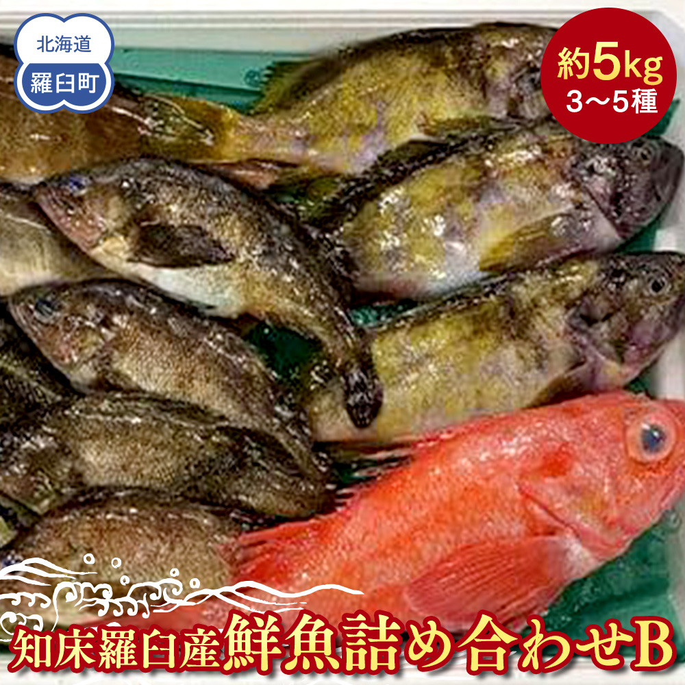 知床羅臼産 鮮魚詰め合わせB　約5kg 魚 さかな 旬の魚 鮮魚 羅臼町 北海道 生産者 支援 応援