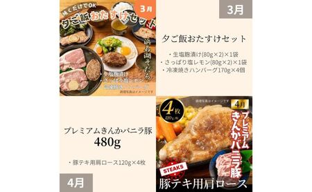 とんきい自慢の豚肉定期便【12か月】毎月お届け！豚肉 浜名湖そだち プレミアムきんかバニラ豚【配送不可：離島】しゃぶしゃぶ すき焼き BBQ　焼き肉 食べ比べ セット 浜松市