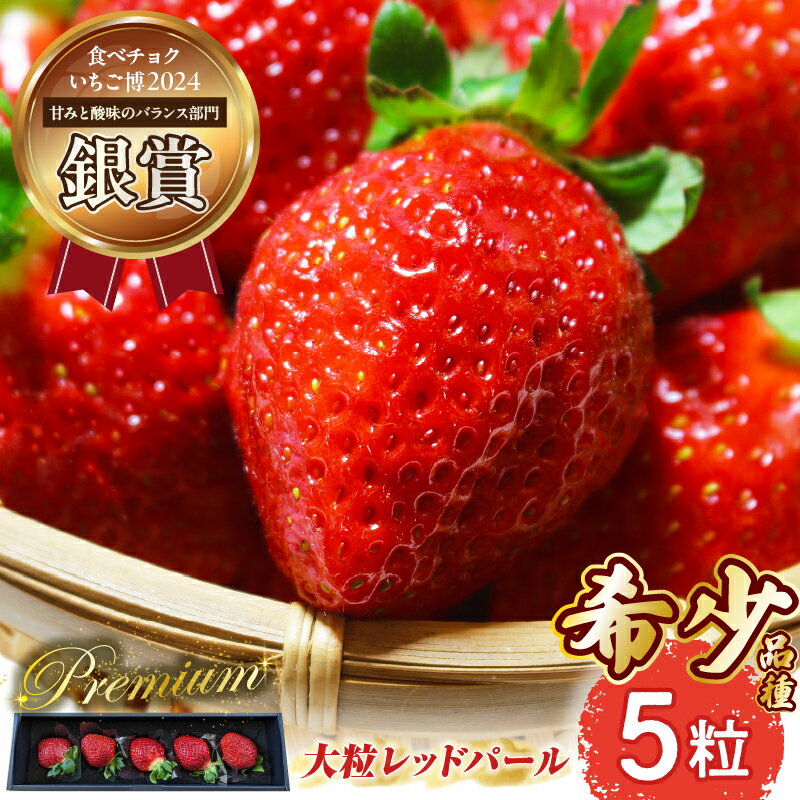 【ふるさと納税】【大粒厳選】プレミアムいちご レッドパール 5粒 レッドパール 苺 イチゴ 大粒 フルーツ 産地直送 贈答用 プレゼント 限定 ふるさと 人気 おすすめ 贈答 ギフト お裾分け 宮崎県 小林市 送料無料