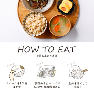 【 ご飯パック 】 金賞 健康米 金のいぶき 120g×48個入り ご飯パック