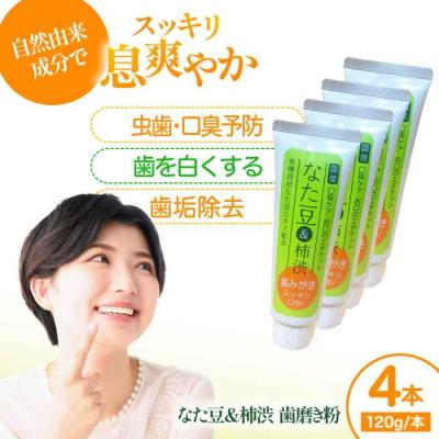 ふるさと納税 大洲市 なた豆&amp;柿渋 歯磨き粉 120g×4本セット[AGCS002]