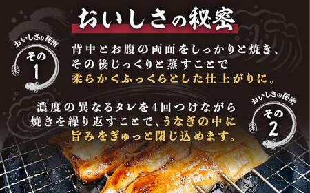 くすだ屋の鰻2尾_150gx2