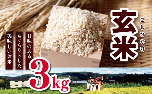 令和7年産 コシヒカリ 玄米 3kg （1㎏×3袋） |  やさまる 小分け 少量 米 こめ お米 おこめ げんまい こしひかり 千葉県 君津市 きみつ