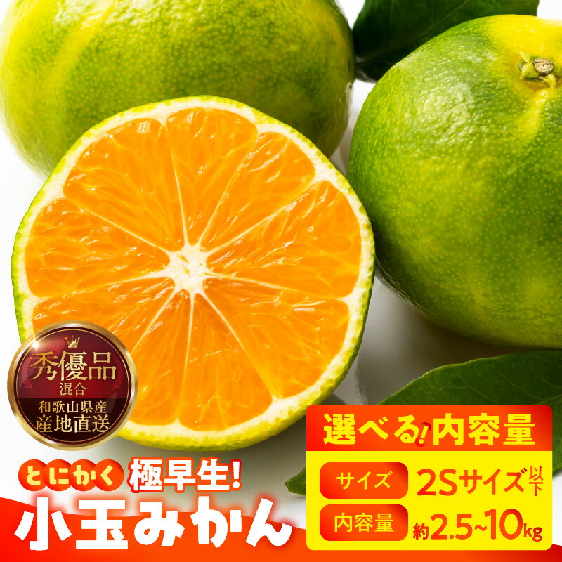 【ふるさと納税】【限定】 【2025年先行予約】 小玉 みかん 極早生 2Sサイズ以下 秀品 優品 混合 選べる 内容量 箱込 2.5kg ～ 10kg 有田みかん 和歌山県産 さわやか 酸味 甘み さっぱり 口当たり みかんの会 フルーツ デザート お取り寄せ 和歌山県 湯浅町 送料無料