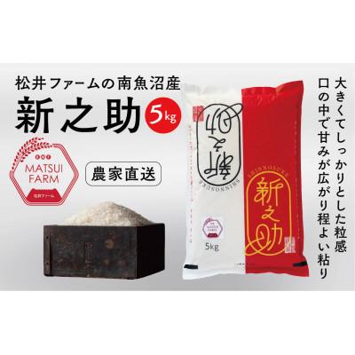 ふるさと納税 南魚沼市 【毎月定期便】南魚沼産新之助 精米[5kg×1袋)]全3回
