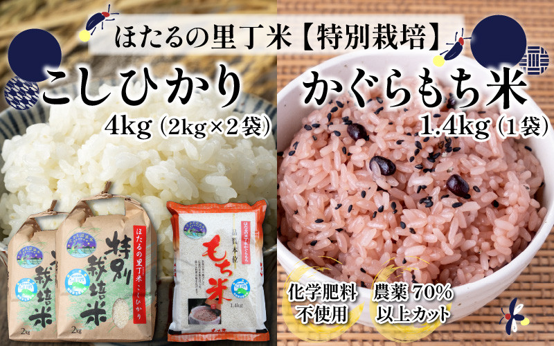 
                  【先行予約】【令和8年産 新米】ほたるの里 ＜特別栽培米＞こしひかり 精米 4kg（2kg × 2袋） ＋ かぐらもち米 1.4kg | 福井県産 ブランド米 福井コシヒカリ 福井産こしひかり お米 米 おこめ こめ コメ こしひかり コシヒカリ 白米 精米 ベストファーマー認定 化学肥料不使用 農薬70％以上カット
                