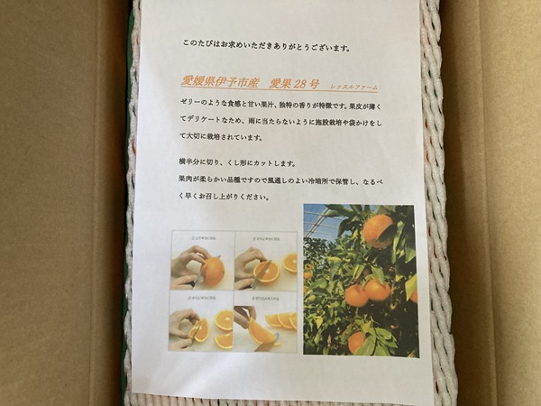 愛果28号 3kg 優品 レッスルファーム みかん 愛媛【2025年12月中旬以降順次発送】先行予約 数量限定 お取り寄せ おすすめ 美味しい おいしい グルメ フルーツ くだもの 愛媛県産 人気 柑