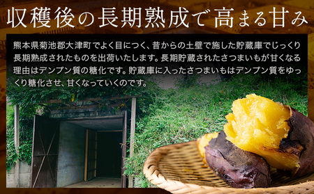熊本県大津町産 中無田農園の紅はるか 約3.5kg(大中小サイズ不揃い) 熊本県大津町 《1-5営業日以内に出荷予定(土日祝除く)》 さつまいも 芋 スイートポテト 干し芋にも 名産地 特産品
