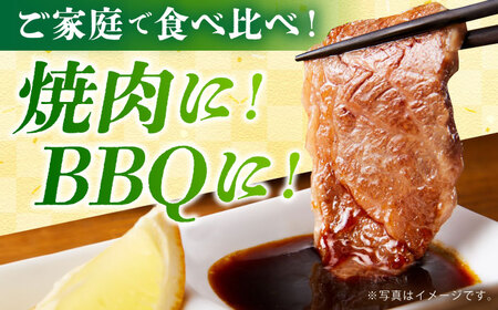 【全国屈指のブランド牛】佐賀牛 焼肉セット（モモ/カタ赤身/肩ロース） 【吉祥】[HCW002]