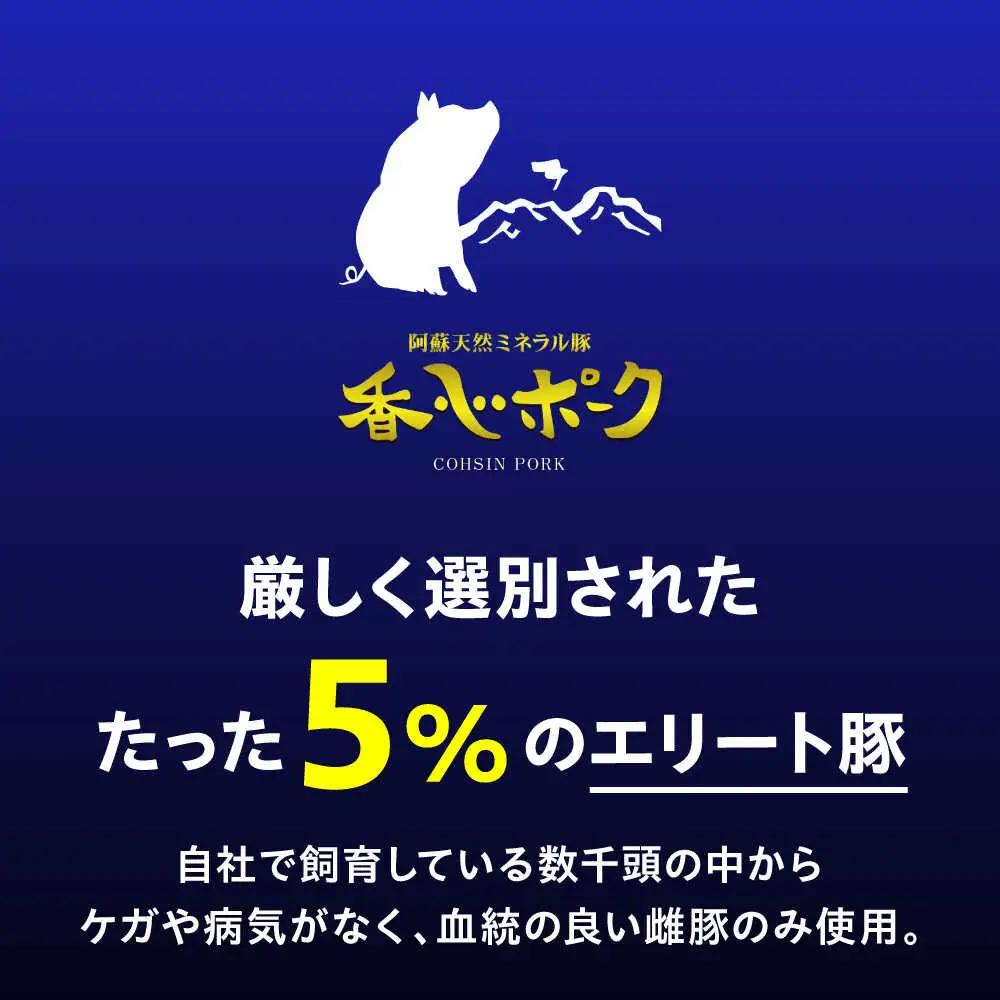 『香心ポーク』 切り落とし 約250g×16パック（計約4kg）豚肉切り落とし 冷凍 熊本県産 [AYCK001]