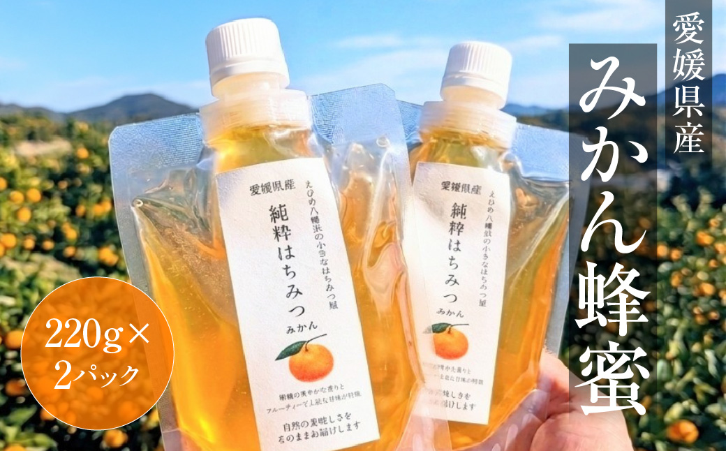 愛媛県産　みかん蜂蜜220g×2パック【74-2】YWTAR002