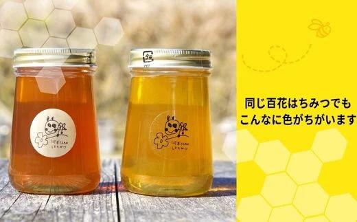 岐阜県上石津産・河本さんちのはちみつ(それぞれ異なる種類の百花はちみつ)500g×2本