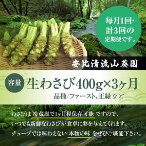 生わさび 400g定期便3ヶ月 【安比清流山葵園】／わさび 山葵 ワサビ 生 国産 調味料 薬味 刺身 ステーキ 蕎麦 和え物 漬け物 刻み おろし 辛味