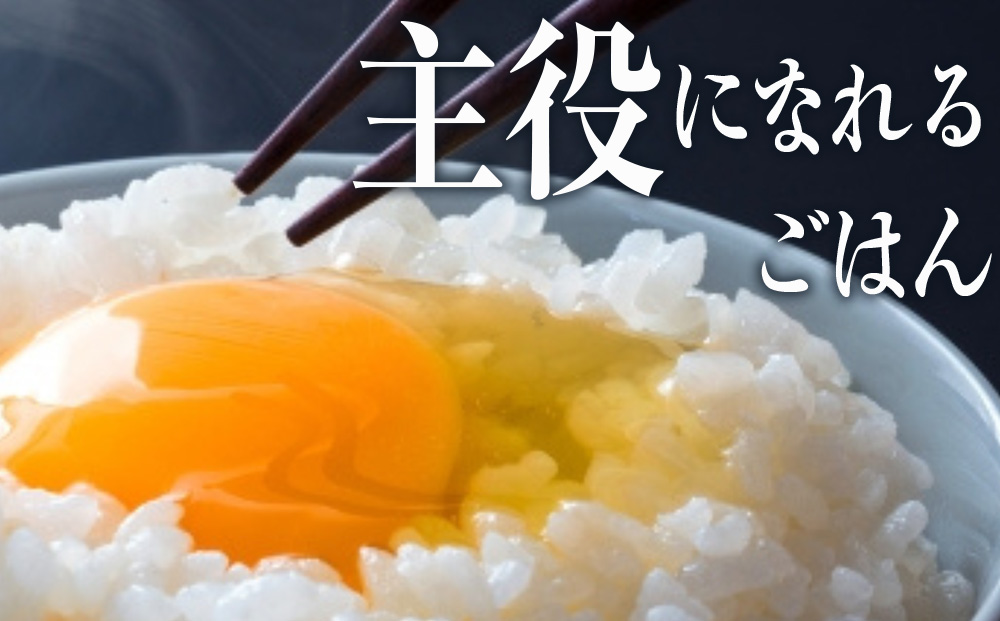 【定期便2ヵ月】北海道産 ななつぼし5kg お米 こめ 精米 白米 ごはん ブランド米 国産米 北海道産 東神楽町