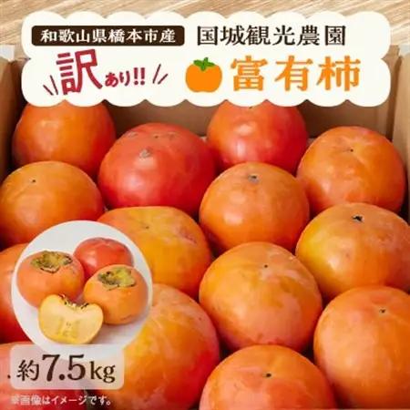 国城観光農園の富有柿(家庭用・訳あり)約7.5kg【1281482】