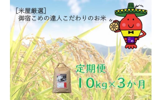 【定期便3ヵ月】コメアミーゴこだわりのおんじゅく米コシヒカリ１０kg