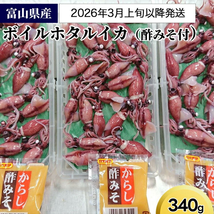【ふるさと納税】【2026年3月上旬以降発送】富山県産ボイルホタルイカ340g（酢みそ付）【棚辺水産】　魚貝類 イカ 魚介類 加工食品 ボイルホタルイカ 酢味噌付き　お届け：2026年3月上旬～5月中旬頃に順次発送予定　※離島への配送不可