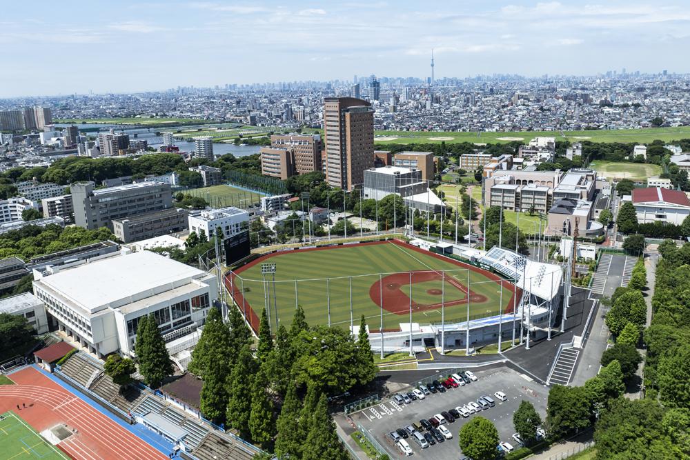 
            国府台スタジアム利用権　ナイター4時間分（利用日：1/17~18・2/14~15・3/14~15、利用時間：17時~21時から選択）　【11203-0390】
          