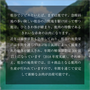 【徳島県三好市祖谷産】祖谷の地美栄 鹿 モモ ブロック シンタマ 芯玉 1kg 希少 部位 ジビエ 地美栄 厳選 鹿肉 国産 ヘルシー 低カロリー 高たんぱく 低脂質 焼肉 BBQ バーベキュー ステ