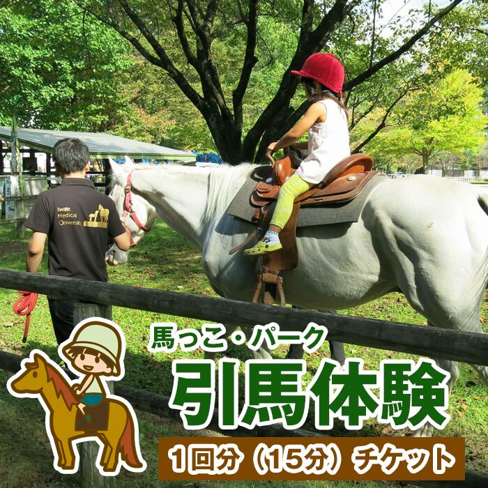 【ふるさと納税】引馬体験 体験チケット 1回分 おすすめ チケット 体験 馬 乗馬 うま ウマ ふれあい たいけん 体験券 子ども 大人 引馬 動物 どうぶつ レジャー お出かけ アウトドア のんびり 安心 初心者 景色 【馬っこパーク・いわて】 岩手県 滝沢市 送料無料