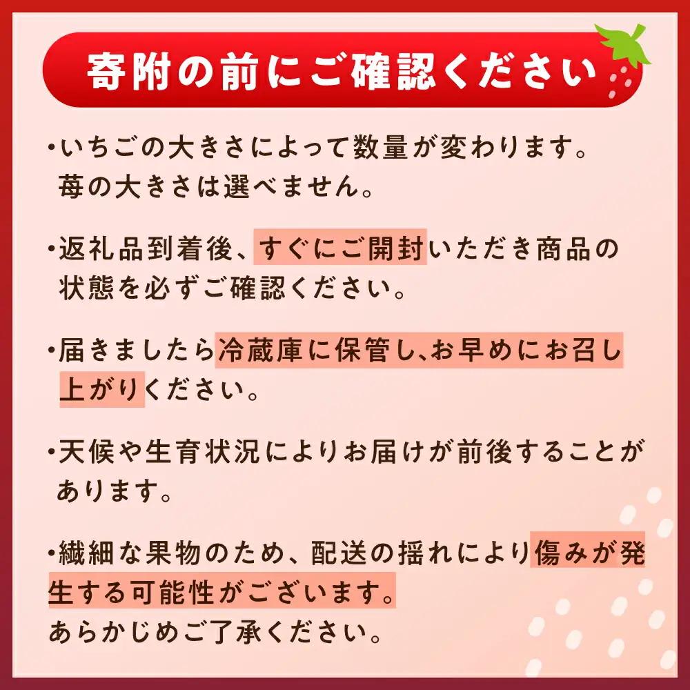 【先行予約】完熟 いちご 4パック / 恵那市 / クリエイティブファーマーズ [AUAH020] いちご
