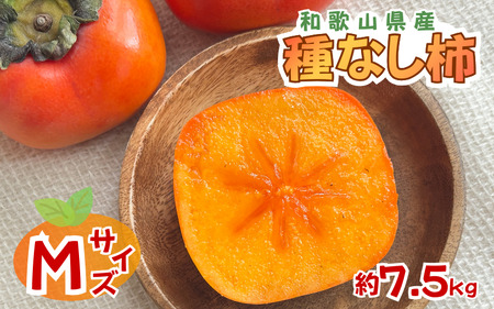 採れたてタネなし柿“Mサイズ” 約7.5kg【2026年10月中旬〜10月下旬頃発送予定】【G-art042】