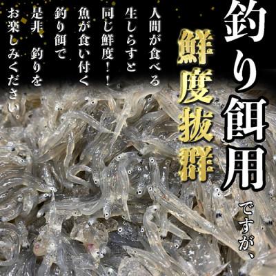 ふるさと納税 南知多町 【知多半島産】 生しらす 釣り餌用 200g×6袋 岬だより |  | 01