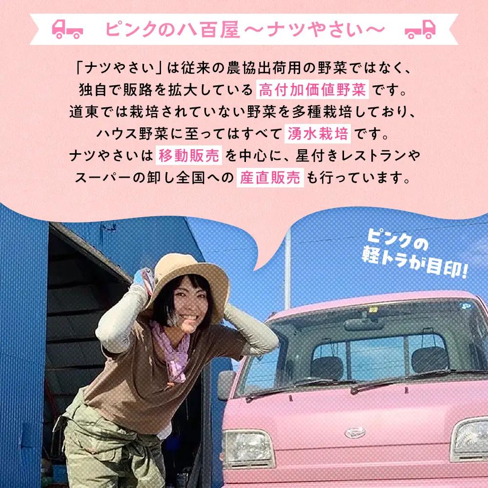 【先行受付】R8年産 トウモロコシ（ゴールドラッシュ） 10本から12本 ピンクの八百屋 ナツやさい | とうもろこし トウモロコシ ゴールドラッシュ 旬 新鮮 野菜 夏 甘い 産地直送 北海道 津別